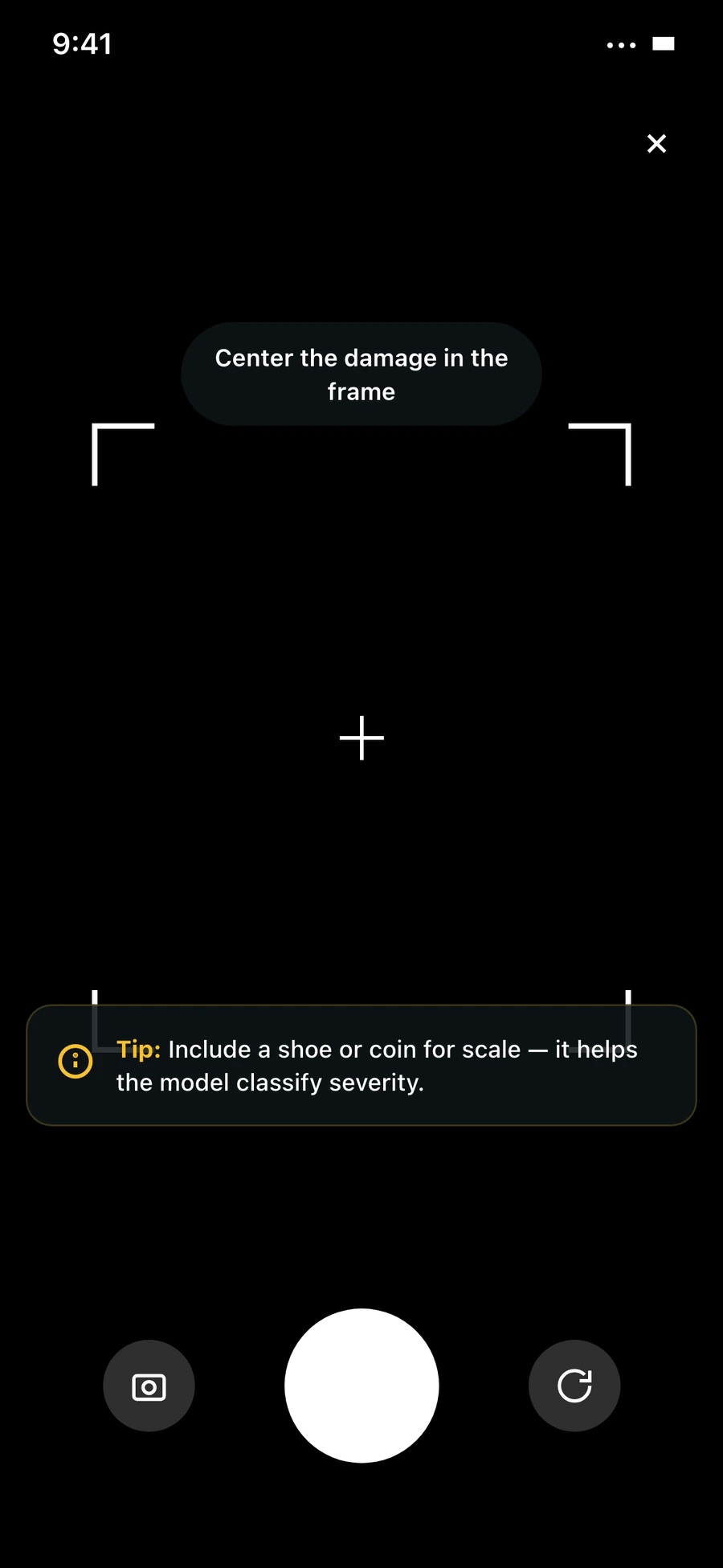 Report camera